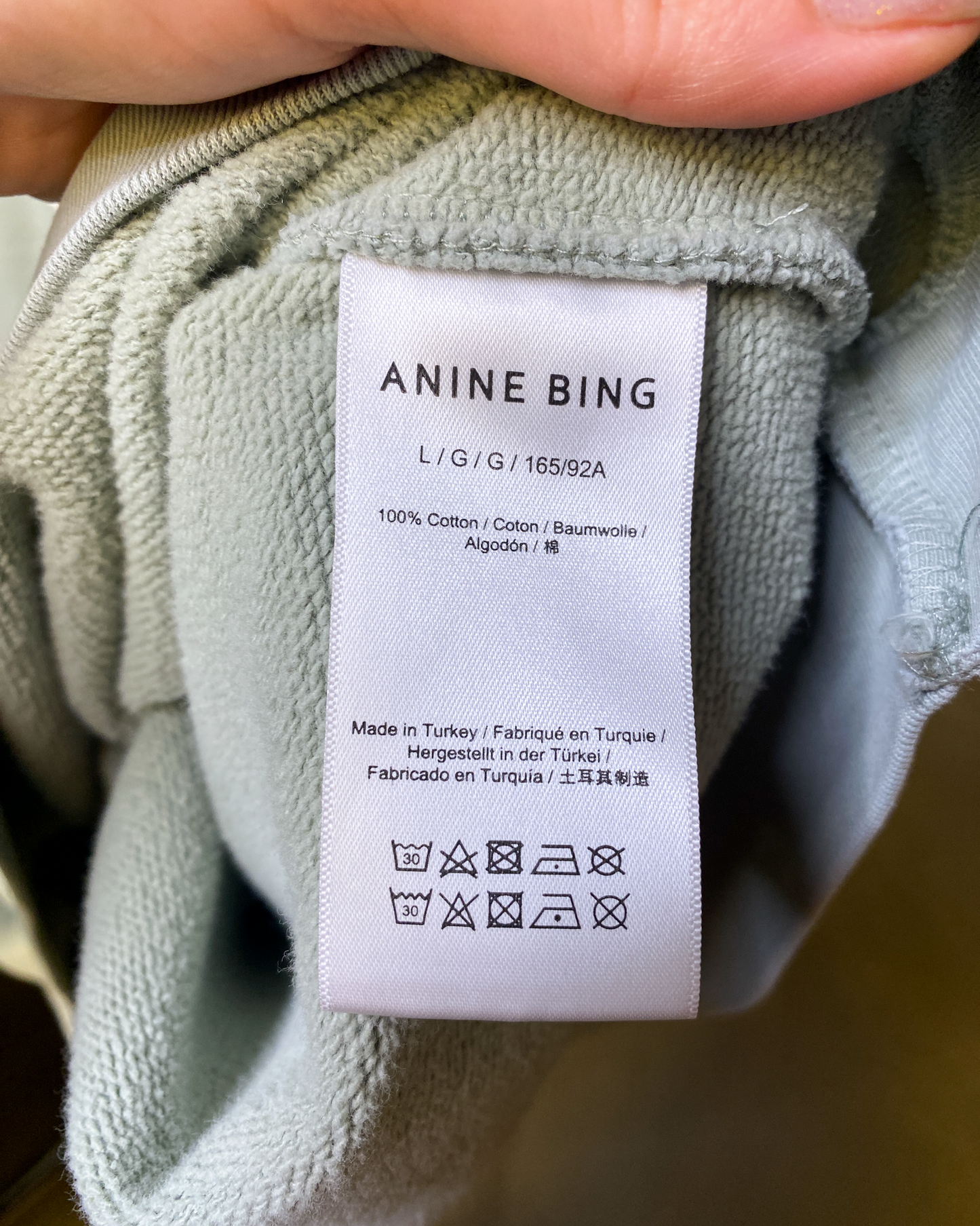 Size L | Anine Bing Tyler Sweatshirt