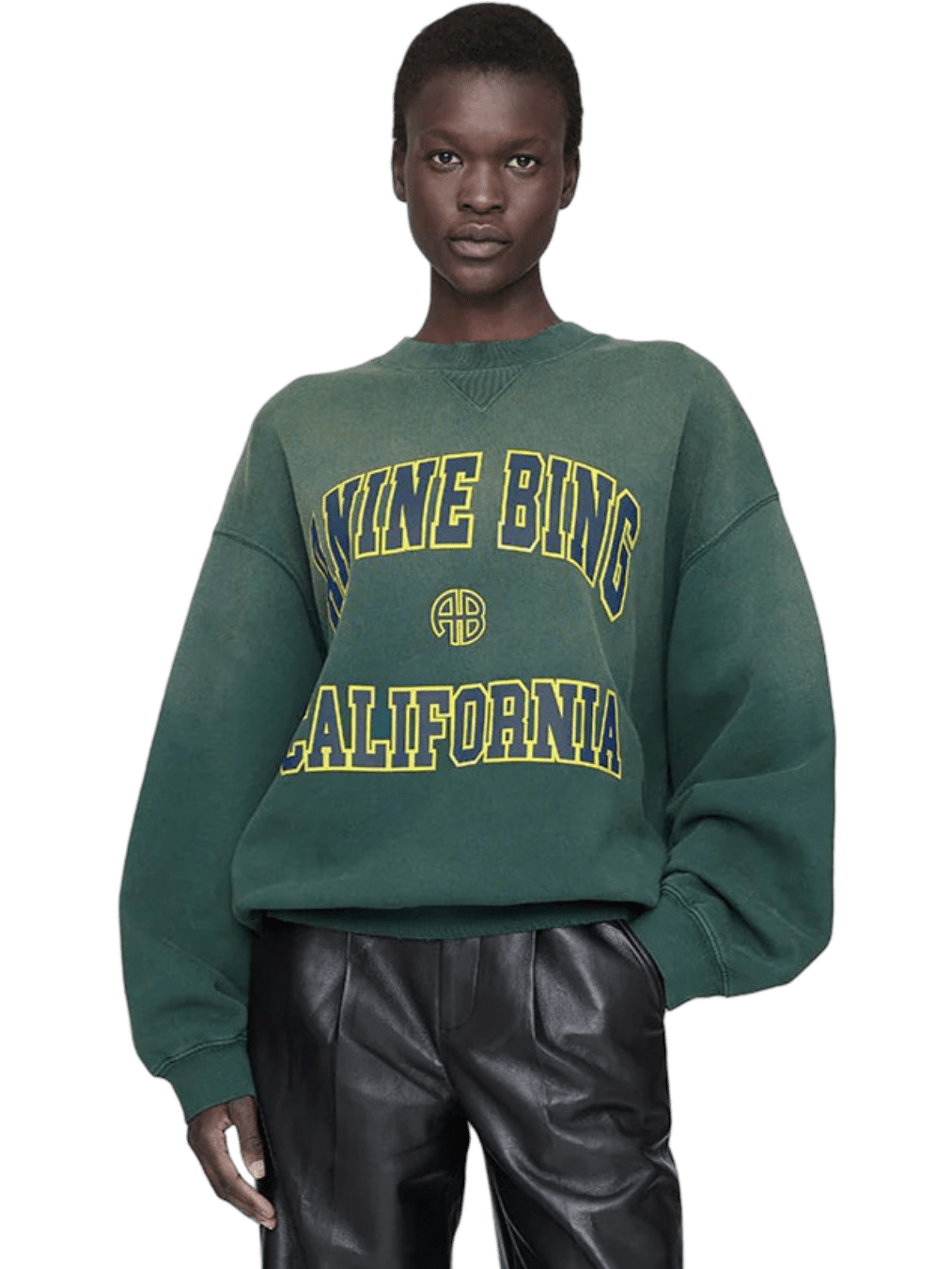 Size M | Anine Bing Jaci Sun Faded Organic Cotton Jumper