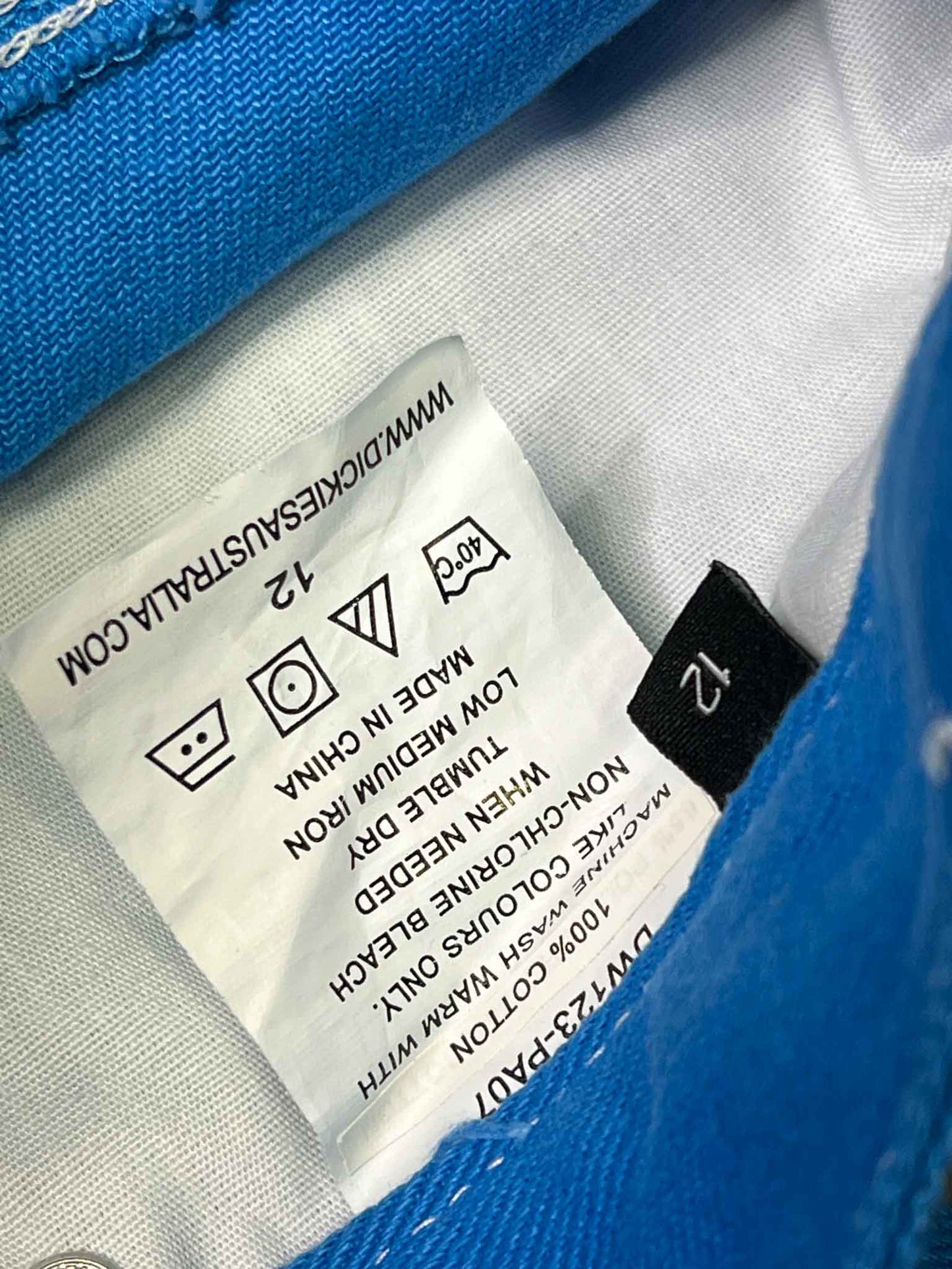 Size 12 | Dickies Carpenter Pants