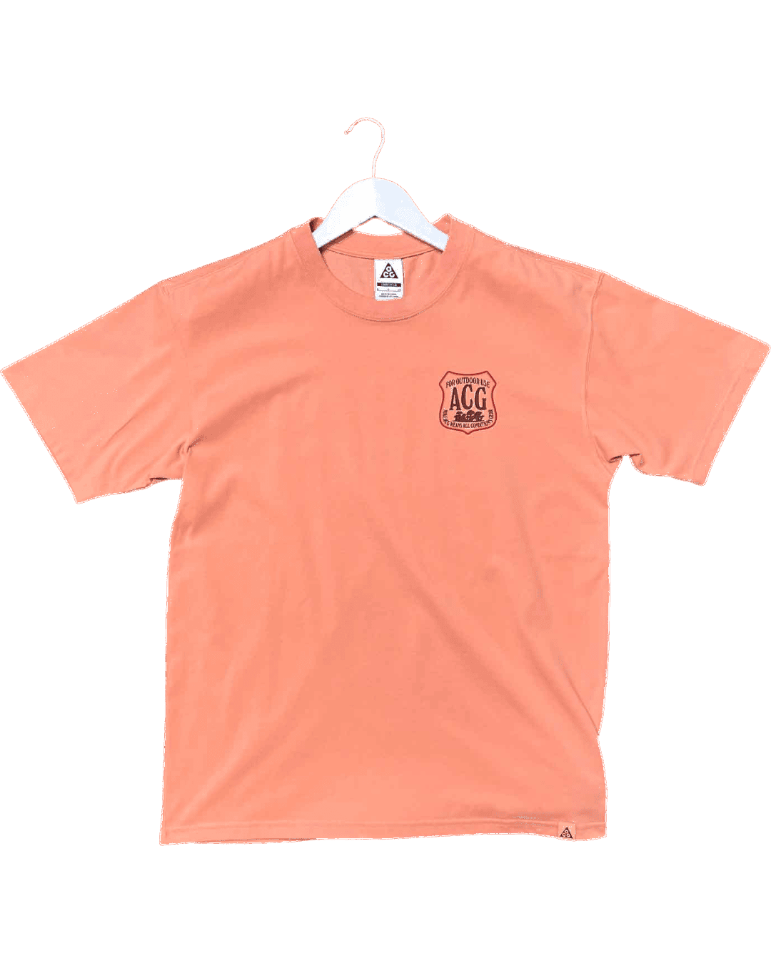 Size S | Nike ACG Graphic T-shirt