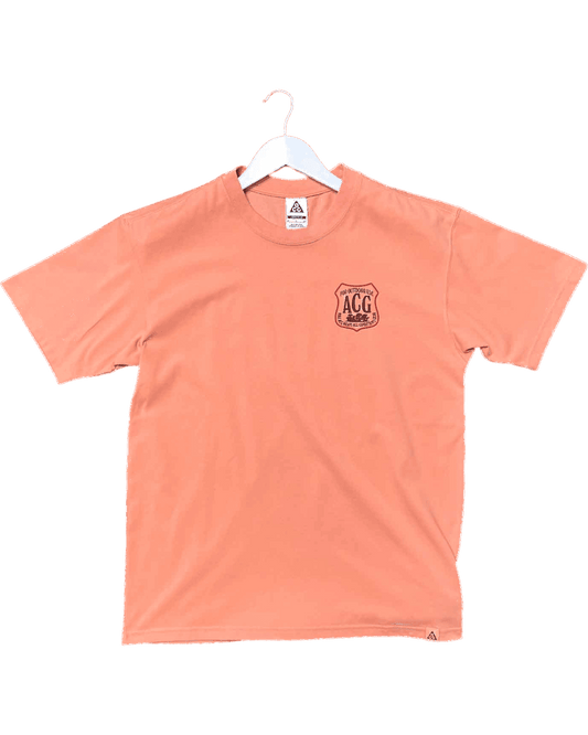 Size S | Nike ACG Graphic T-shirt