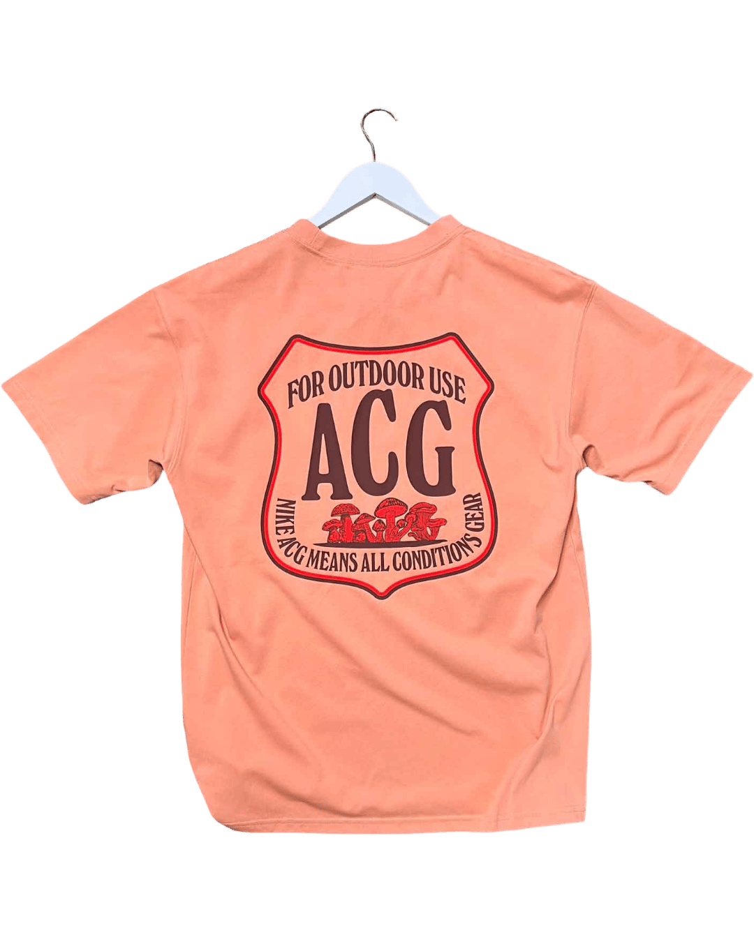 Size S | Nike ACG Graphic T-shirt