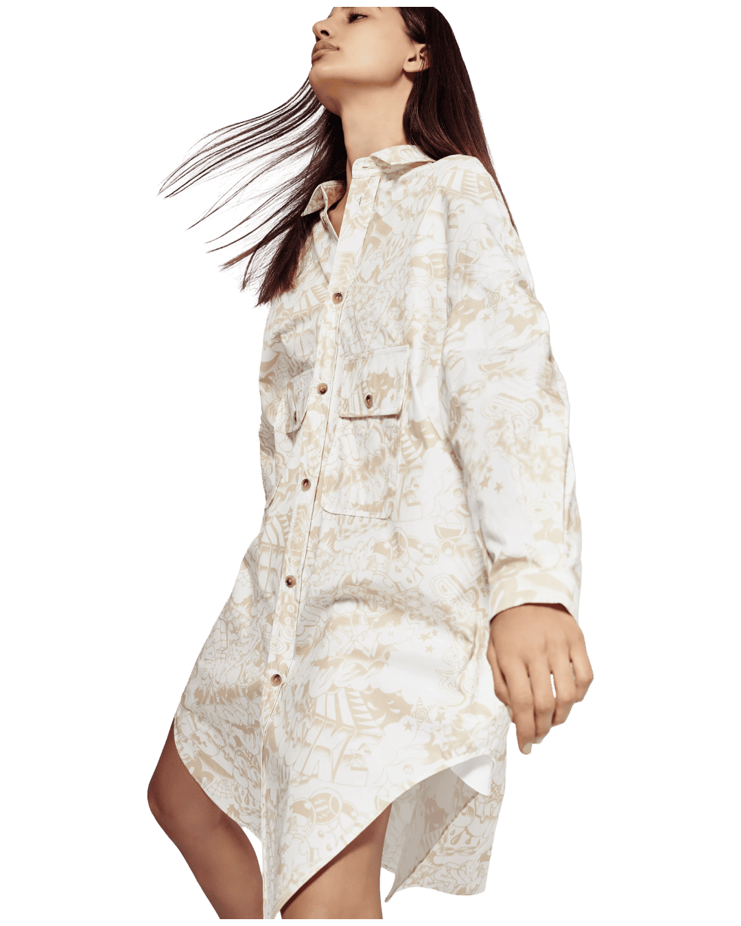 Size XXS | Bassike Print Cotton Shirt Dress