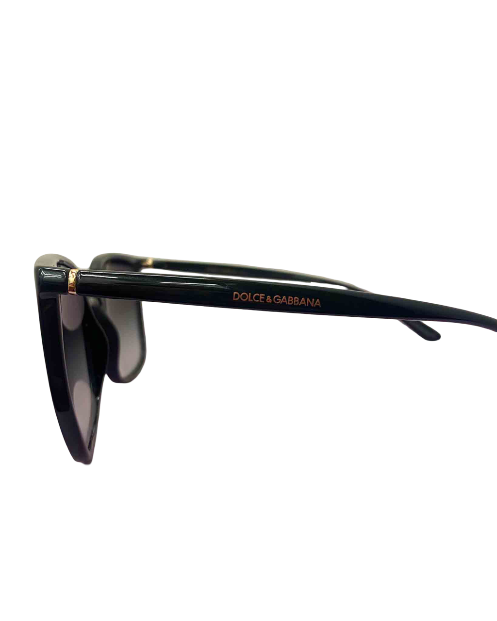 Dolce & Gabbana Wayfarer Sunglasses