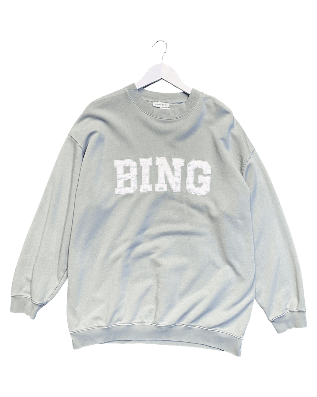 Size L | Anine Bing Tyler Sweatshirt