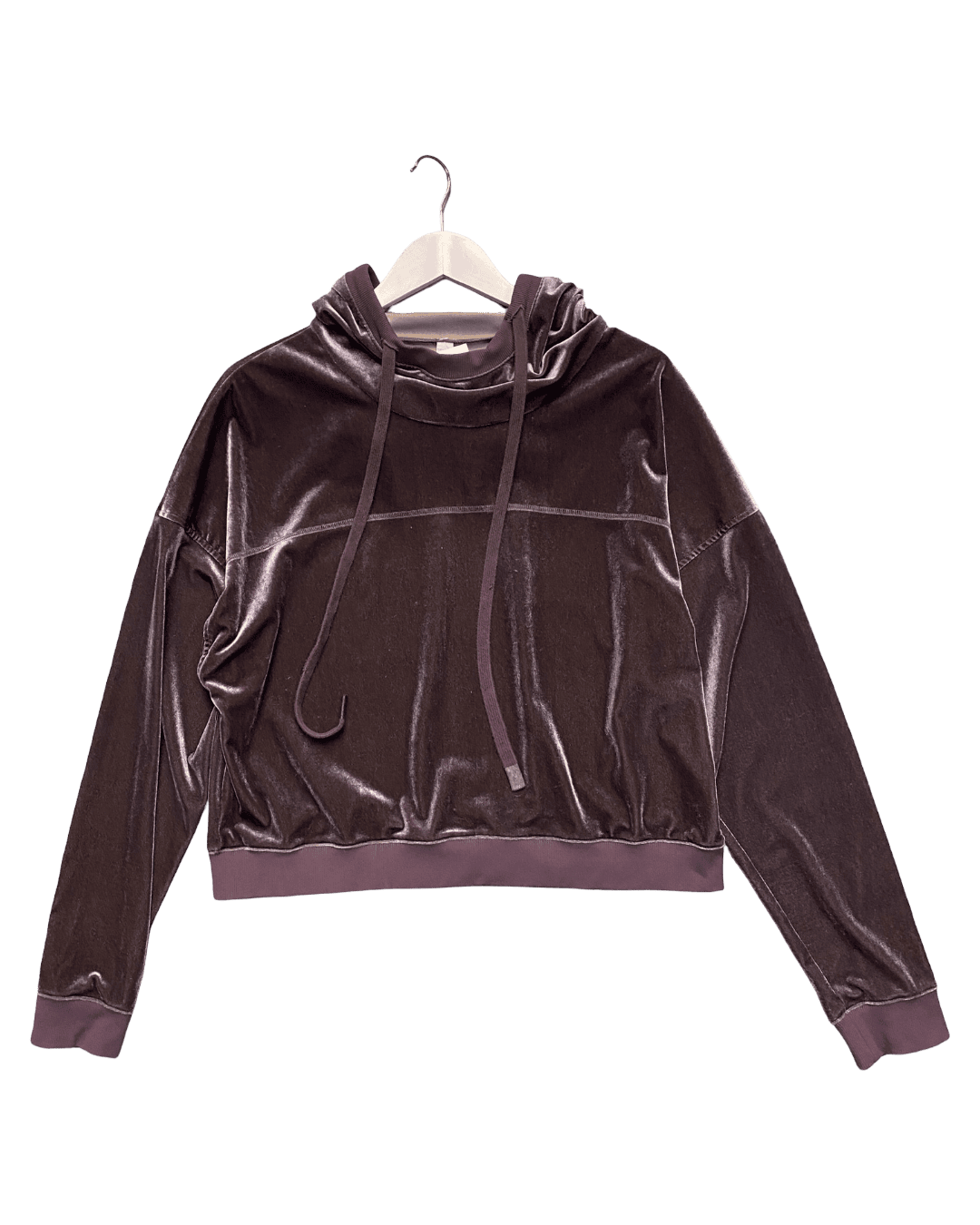 Size L | Alo Velour Hoodie