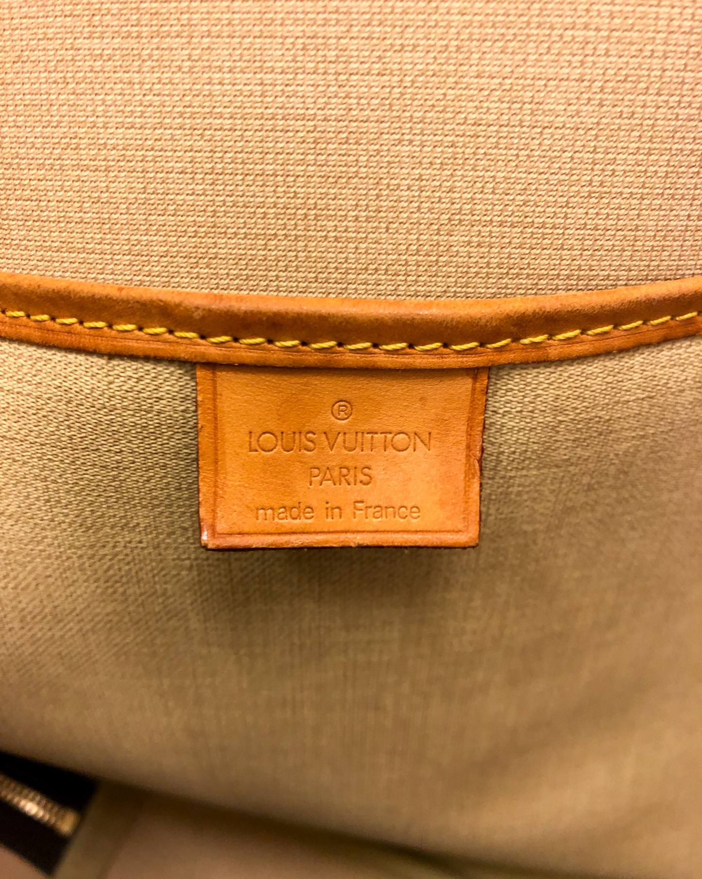 Louis Vuitton Excursion Monogram Canvas Bag