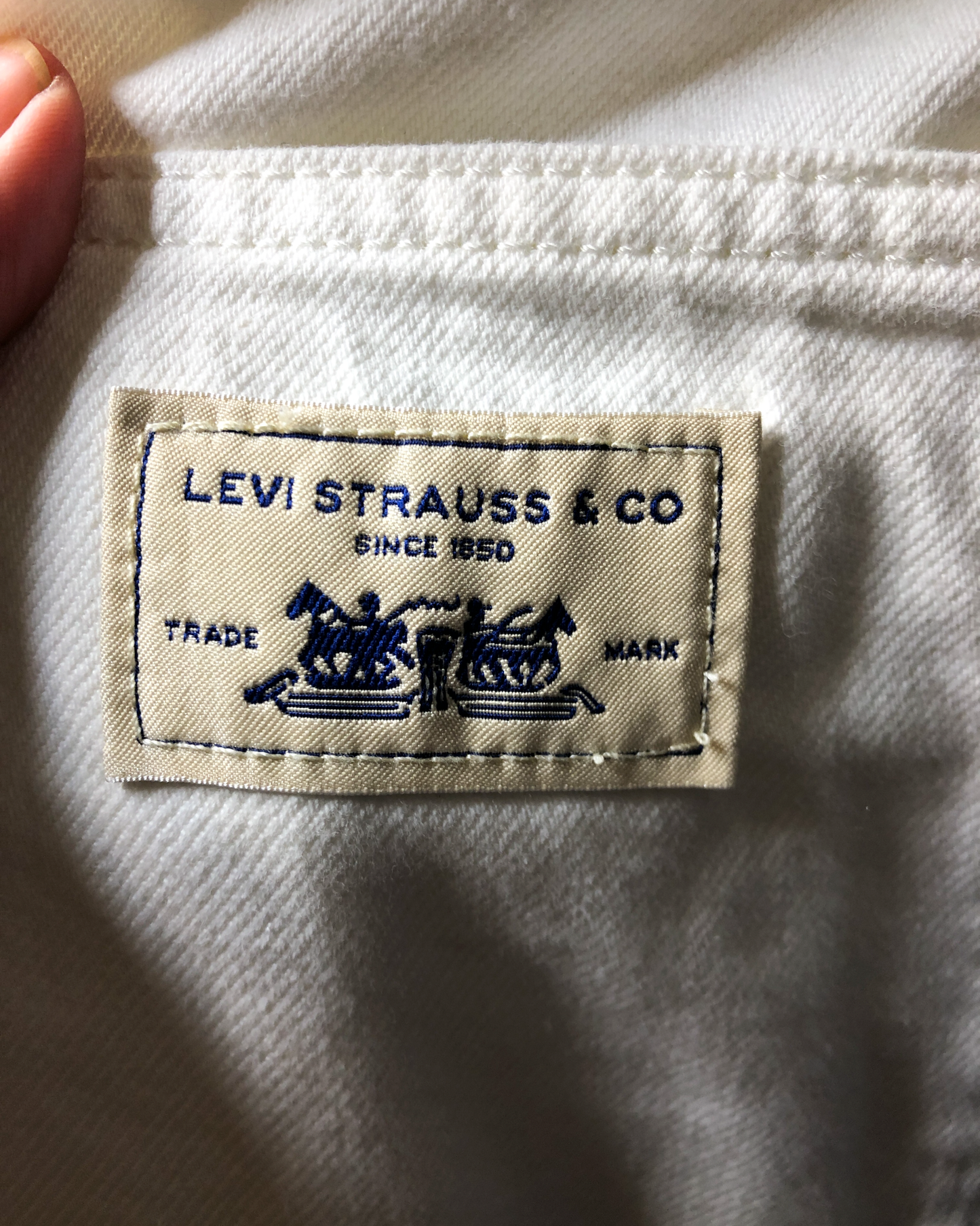 Size 31 | Levis Carpenter Jeans