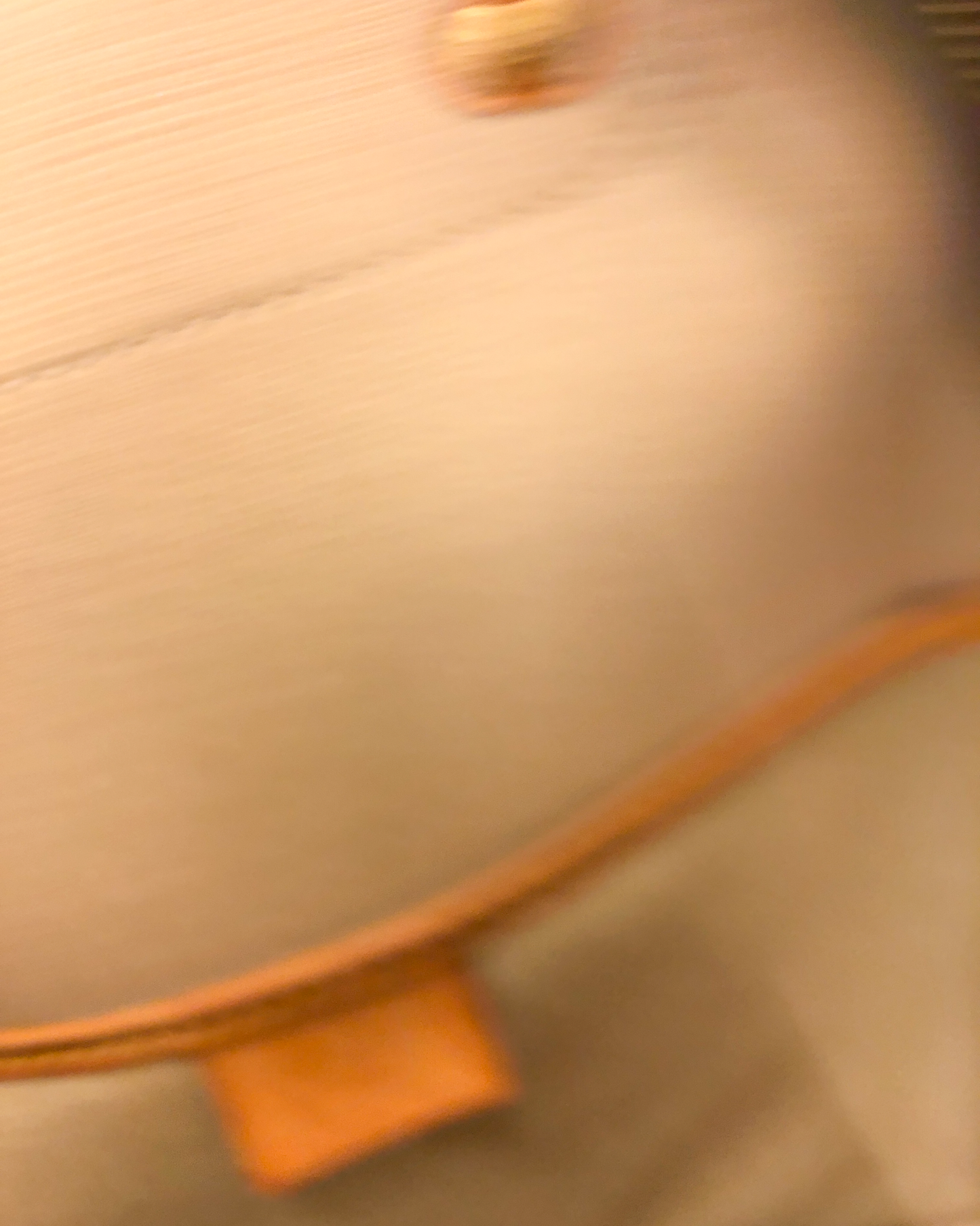 Louis Vuitton Excursion Monogram Canvas Bag